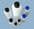 60ml (2oz) Bottle with Luer Lock Cap AD2BC Adhesive Dispensing Ltd
