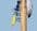 30cc Hand Plunger Dispenser ADL ADQHP30 Adhesive Dispensing Ltd