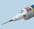 310ml Silicone Caulk Adapter AD931-296 Adhesive Dispensing Ltd