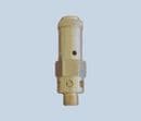 Pressure Relief Valve 60 PSI AD60-SV-SS