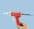 TS710SG-AD-UVK UV Cure Adhesive Syringe Gun 10cc, UV Adhesive, Torch & Glue Adhesive Dispensing Ltd