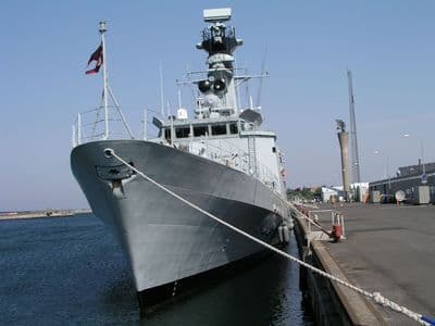 Dan Fender EHD Fender