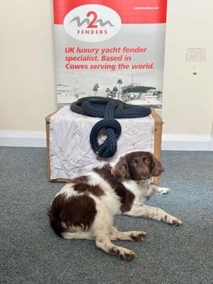 Superyacht mooring lines