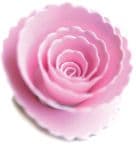 98269 ~ SCALLOPED POSIE ~ Memory Box die