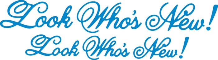 B293 ~ LOOK WHO'S NEW (SET OF 2) ~ CHEERY LYNN DIES