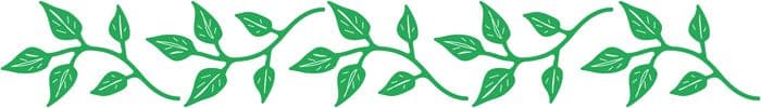 B304 ~ IVY LEAF strip ~ CHEERY LYNN DIES
