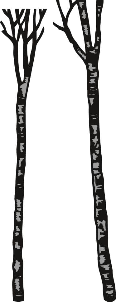 CR1337 ~ TINY'S TREES - BIRCH ~ Marianne Design Craftables Die