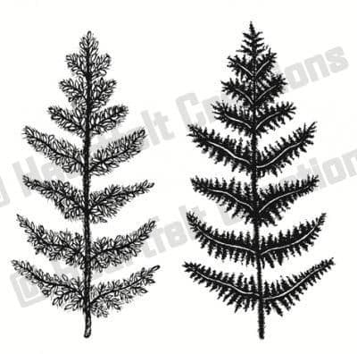 HCPC 3408 ~ WOODLAND FERN ~ Heartfelt Creations stamps