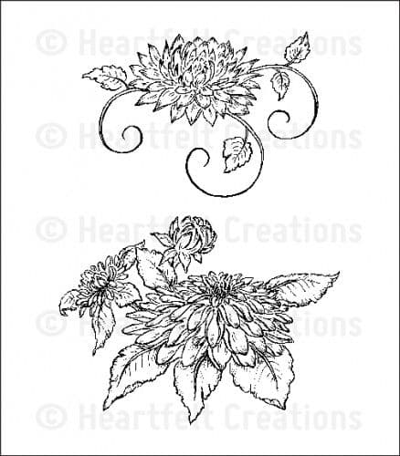 HCPC 3548 ~ DAHLIA CLUSTER ~ Heartfelt Creations pre cut stamps