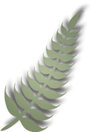 IME-039 ~ FERN - LEFT ~ Dee's Distinctively Dies