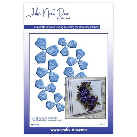 JND300 - Anemone Flowers - John Next Door