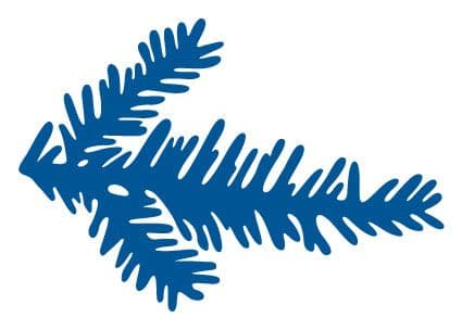 LR0181 ~ FIR BRANCH ~ cut and emboss die Marianne Creatables