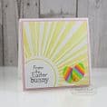 TEEF14 ~ WALKING ON SUNSHINE~ Embossing folder ~ Taylored Expressions