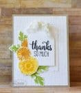 TEEF31 ~ WEATHERED ~ Embossing folder ~ Taylored Expressions