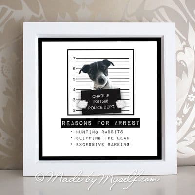 Naughty Pet Mug Shot (Framed)