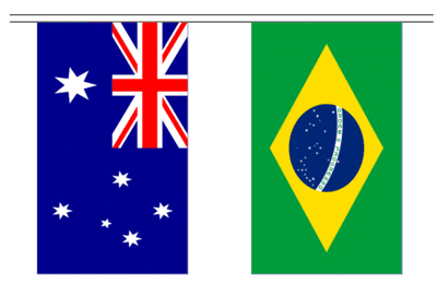 A string of World Cup 2014 bunting, rectangular, 10 metre