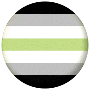 Agender Flag 58mm Mirror