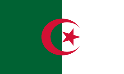 Algeria Large Country Flag - 3' x 2'.