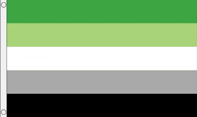Aromantic Large Flag - 5' x 3'