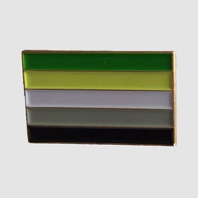 Aromantic Pride Flag Rectangular Enamel Pin Badge