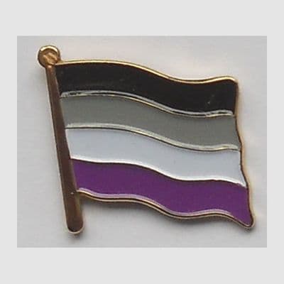 Asexual Pride Flag Enamel Pin Badge