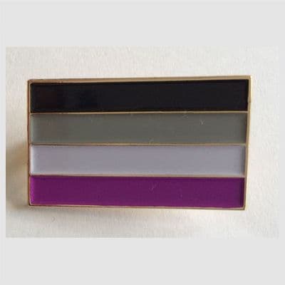 Asexual Pride Flag Rectangular Enamel Pin Badge