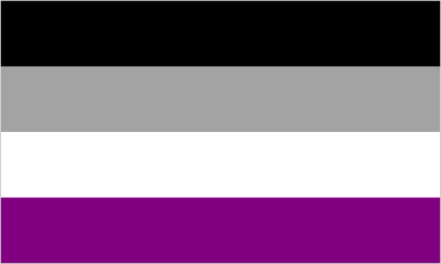 Asexual Pride Large Flag - 3' x 2'