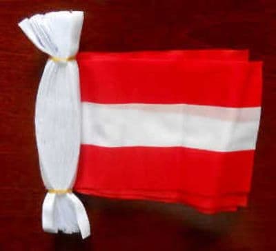 Austria Bunting, rectangular, 9 metre.