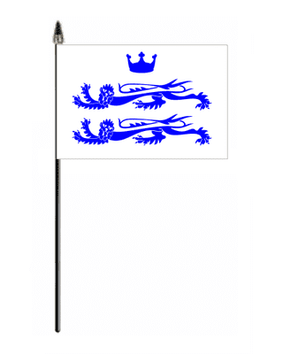 Berkshire County Council Hand Flag - Small