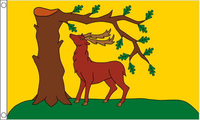 Berkshire Large County Flag - 5' x 3'