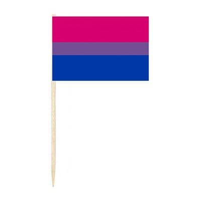 Bisexual Pride Flag Cocktail Sticks (pack of 10)
