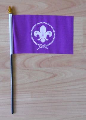 Boy Scouts Hand Flag - Small.