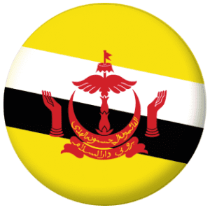 Brunei Country Flag 58mm Fridge Magnet