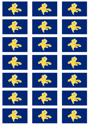Brussels Region Flag Stickers - 21 per sheet