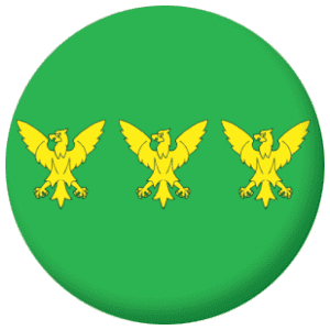 Caernarfonshire County Flag 58mm Button Badge