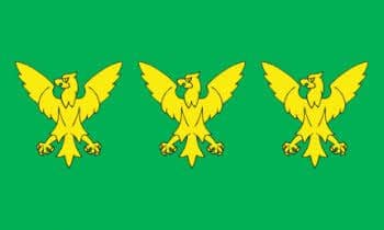 Caernarfonshire Large County Flag - 5' x 3'.