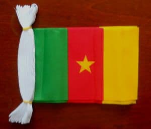 Cameroon Bunting, rectangular, 9 metre.