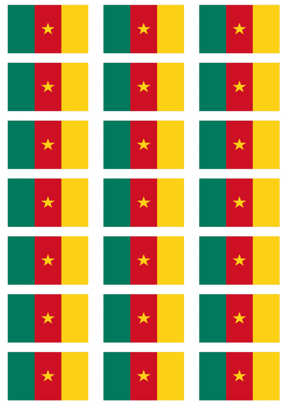 Cameroon Flag Stickers - 21 per sheet