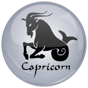 Capricorn Astrology Grey 58mm Fridge Magnet