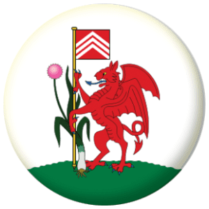 Cardiff Town / City Flag 25mm Pin Button Badge