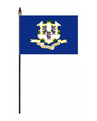 Connecticut Hand Flag - Small.