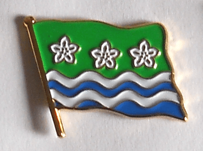 Cumberland County Flag Enamel Pin Badge