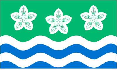Cumberland Large Flag - 5' x 3'.