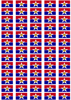 Dallas Flag Stickers - 65 per sheet