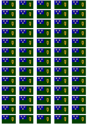 Dublin Flag Stickers - 65 per sheet
