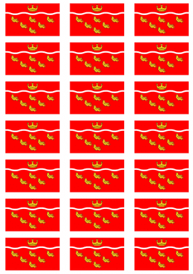 East Sussex Flag Stickers - 21 per sheet