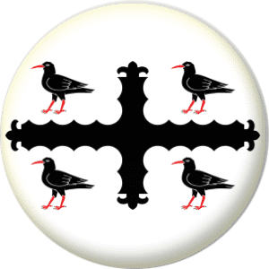 Flintshire County Flag 58mm Button Badge