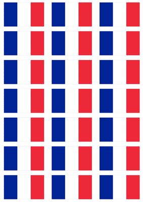 France Flag Stickers - 21 per sheet