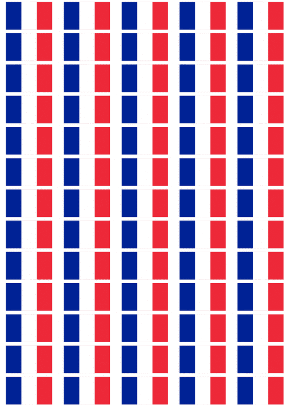 France Flag Stickers - 65 per sheet