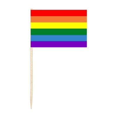 Gay Pride Rainbow Flag Cocktail Sticks (pack of 10)
